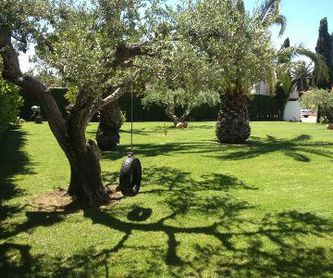 Manteniment de jardins privats i de zones comunitàries: Els nostres serveis de Jardinería Bordera