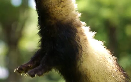 Imagen 6 de la galería