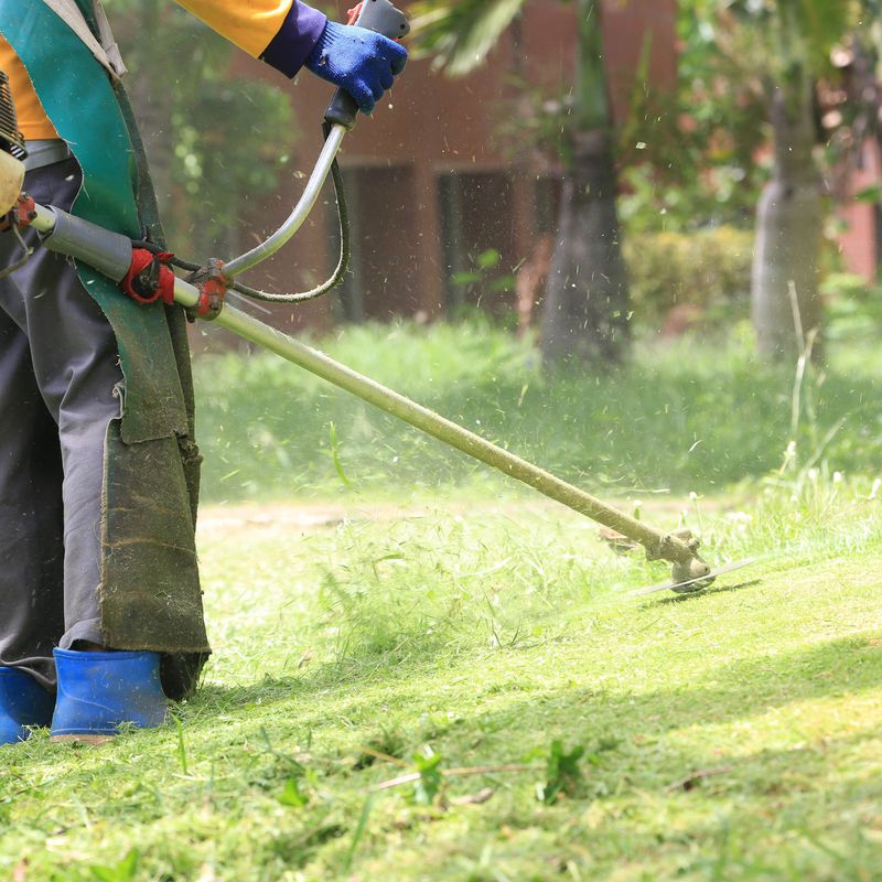 Desbroce y limpieza de parcelas: Servicios de Indigo Jardines