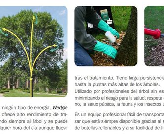 Podas de árboles: Servicios de Interjardín