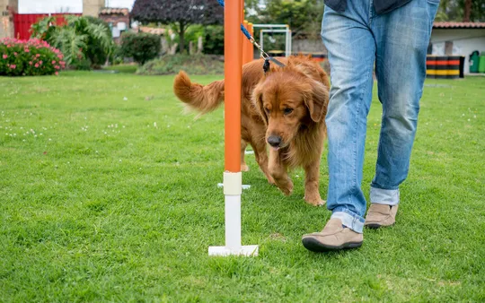 Imagen 3 de la galería