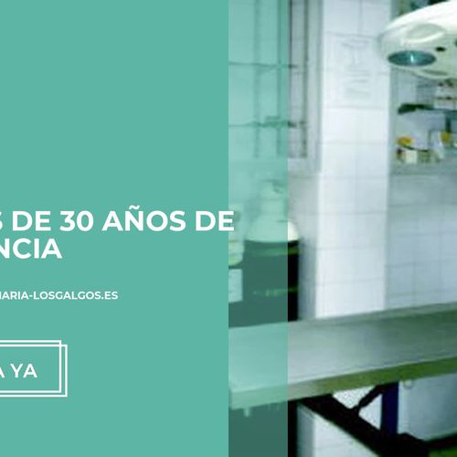 Análisis clínicos veterinarios en Las Palmas