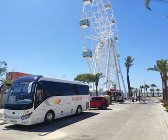 Bodas: Servicios de Autobuses Hermanos Rodríguez SA