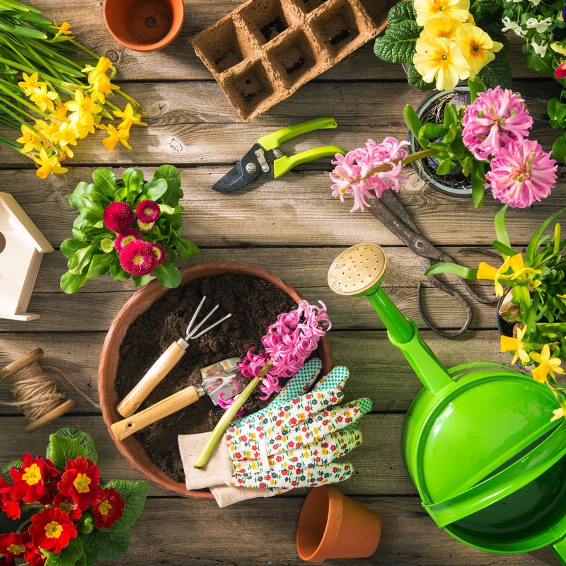 Jardinería: Productos y servicios de Ferretería Son Ferrer