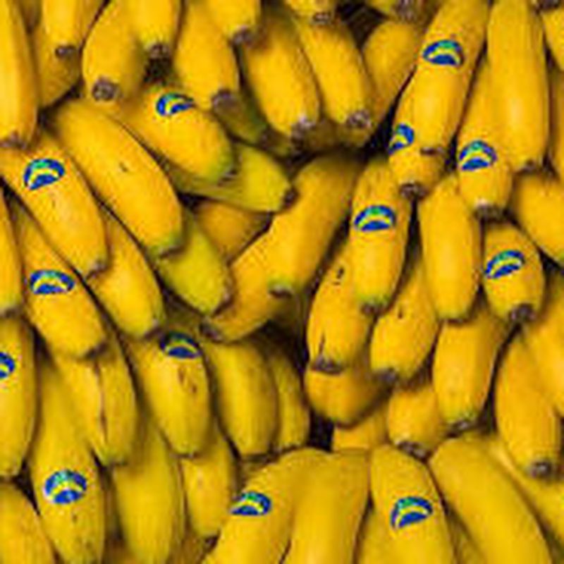 Plátano: Catálogo de FRUTAS PAULA