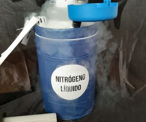 NITRÓGENO