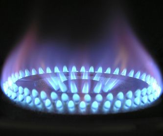 Inspecciones de gas: Servicios de Danagas