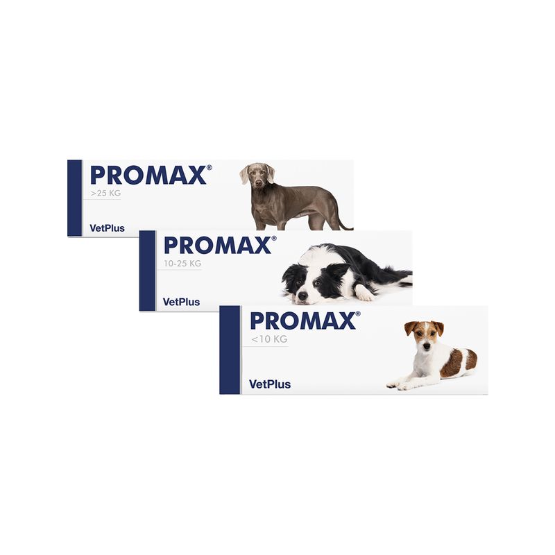 Promax: Nuestros productos de Pienso Express