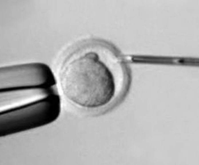Fertilización in vitro: SERVICIOS de Instituto Grimalt