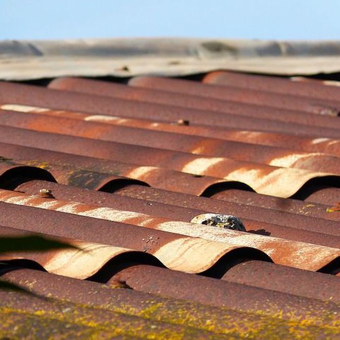 Las placas de chapa para cubrir nuestros tejados