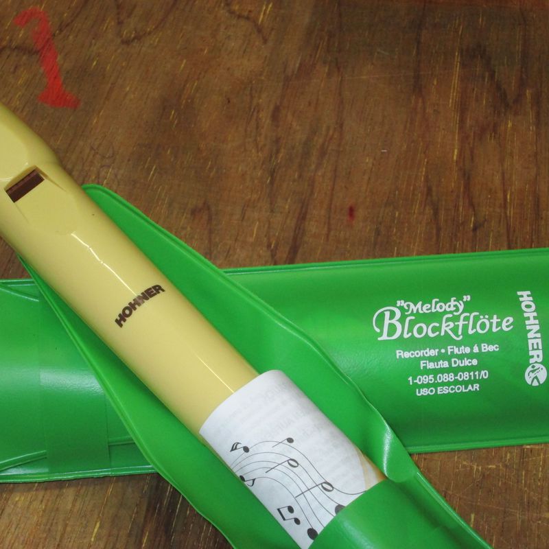 Flauta HOHNER funda verde