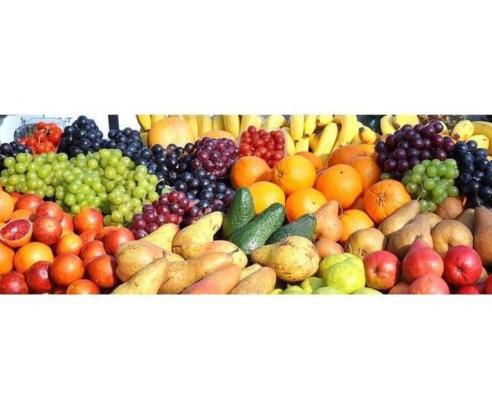 Hortofrutícola: Servicios de Lodepa 