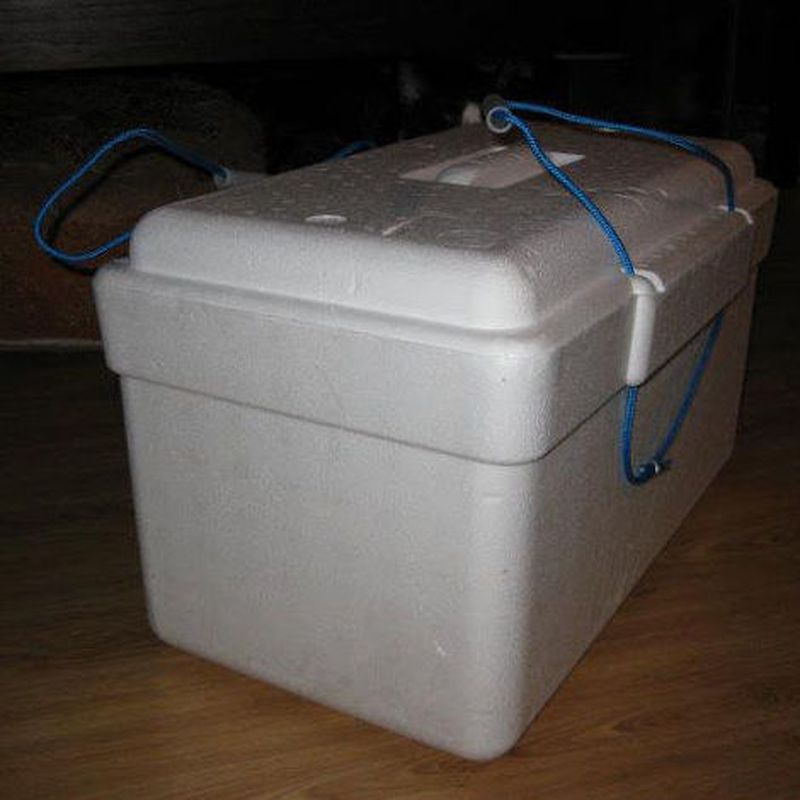 Caja de Poliespan: Catálogo de Hielos Los Andes