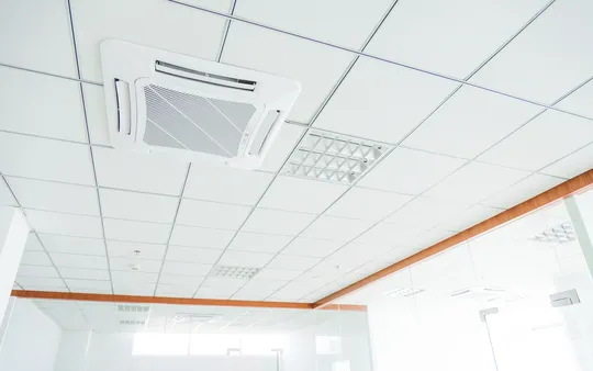 Imagen 1 de la galería