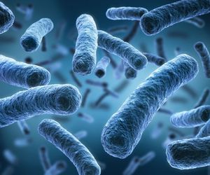 Mitos y verdades sobre la Legionella