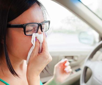 Alergias: cuidado al volante