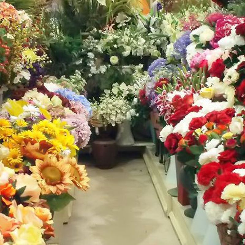 Flores secas y artificiales: Productos de FLORISTERÍA CASA BASUSTA