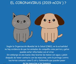 CORONAVIRUS Y ANIMALES DOMÉSTICOS