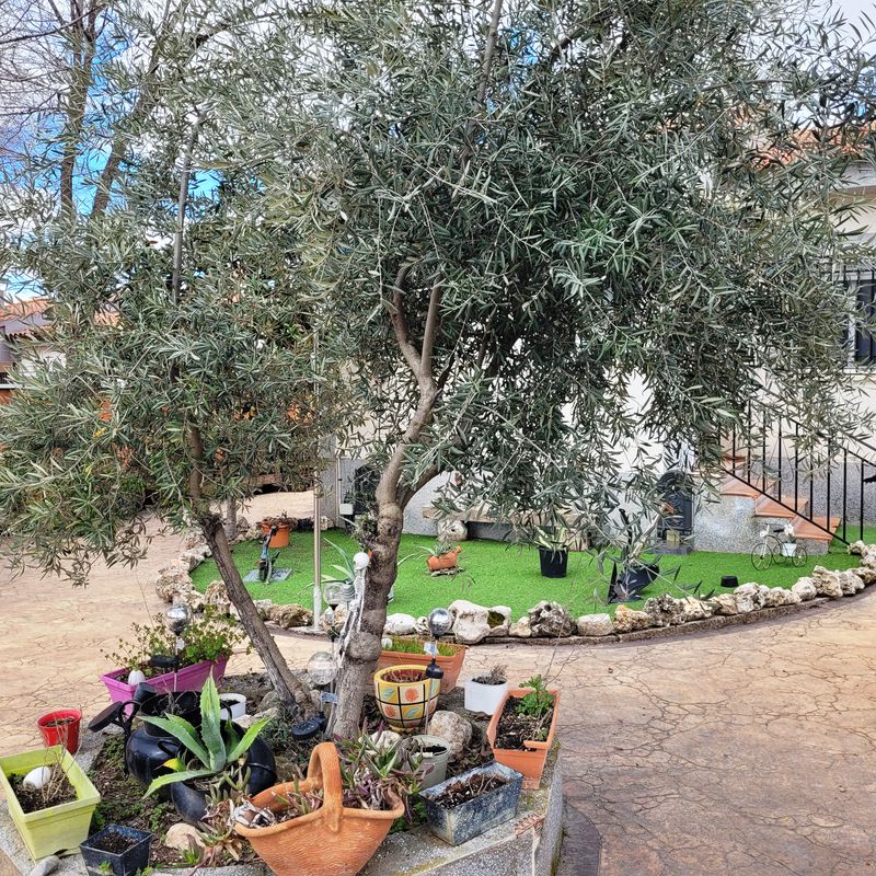 Chalet en sierra de Altomira, gran parcela con piscina, jardín, barbacoa...:  de Vicente Palau Jiménez - Agente Inmobiliario