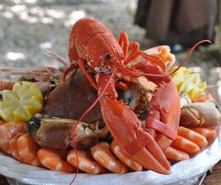 Mariscos congelados: Frescura y sabor que perduran