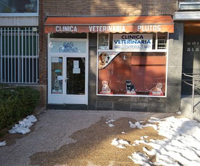 La Clinica Veterinaria Plutos esta totalmente operativa tras el paso de la Gran Nevada que ha caído sobre Madrid