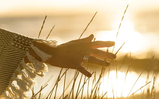 Imagen 4 de la galería