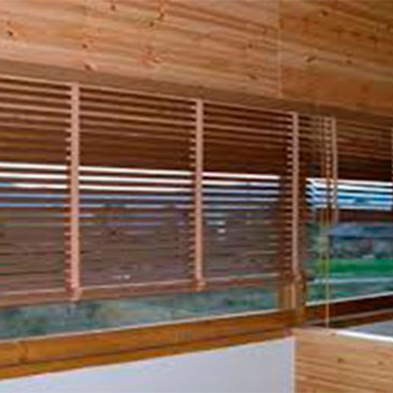 Cortinas venecianas: Servicios de Cortinas Mainez
