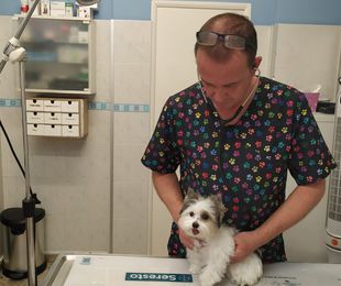 Medicina veterinaria preventiva