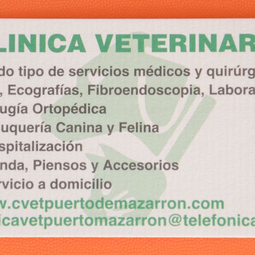 Veterinarios en Puerto de Mazarrón | Clínica Veterinaria Puerto Mazarrón