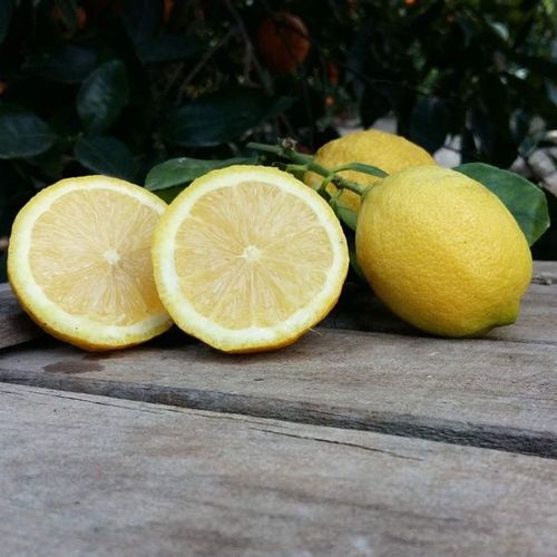 Venta online de limones y mandarinas