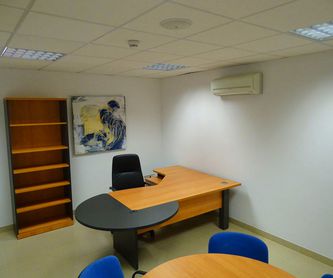 Despachos varios puestos: Servicios de Centro de negocios Son Castelló