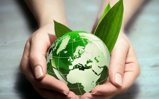 Imagen 6 de la galería