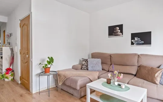 Imagen 5 de la galería