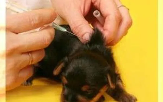 Imagen 4 de la galería