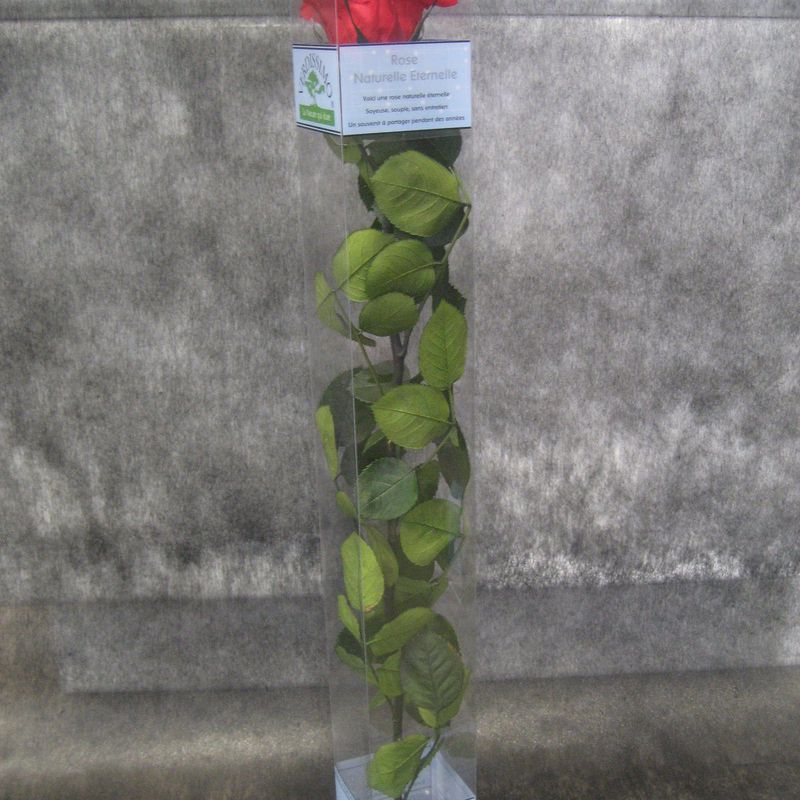 Rosa Preservada Roja: Nuestras flores de Bouquet Flores y Plantas