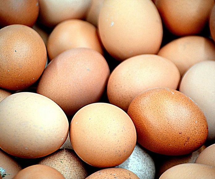 Oferta de huevos: Productos de CarnicerÃ­a Halal Kouider }}