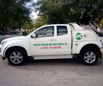 Rescate con Camión Pluma: Servicios de Grúas Palma