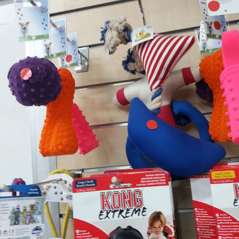 Accesorios: Servicios de Qué Perro!! Arrecife