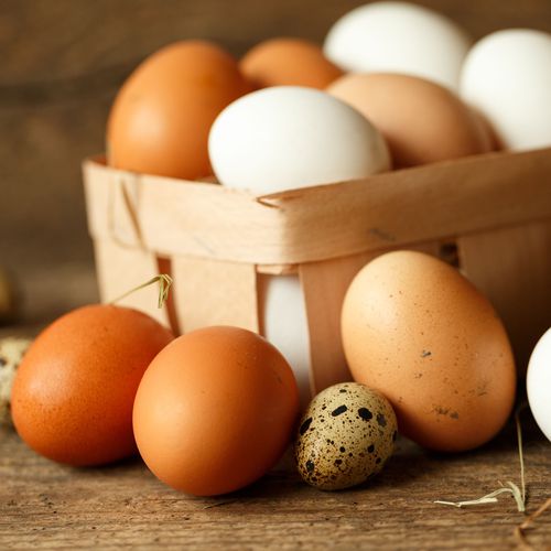 Pollería y venta de huevos en Madrid