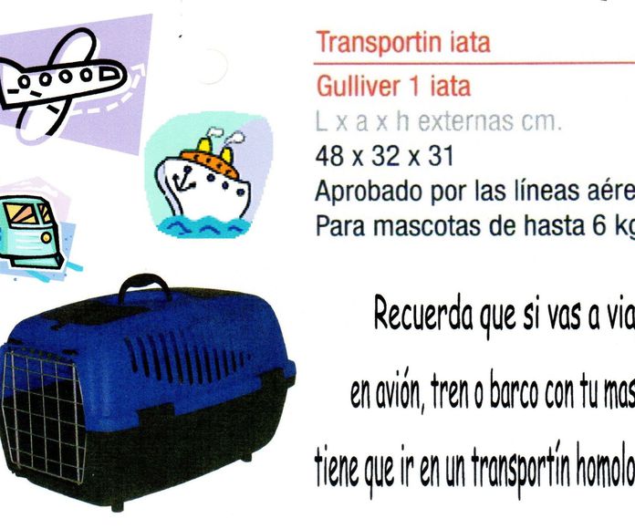 Viajar con mascotas: Consejos de Clínica Veterinaria Maestro Sosa