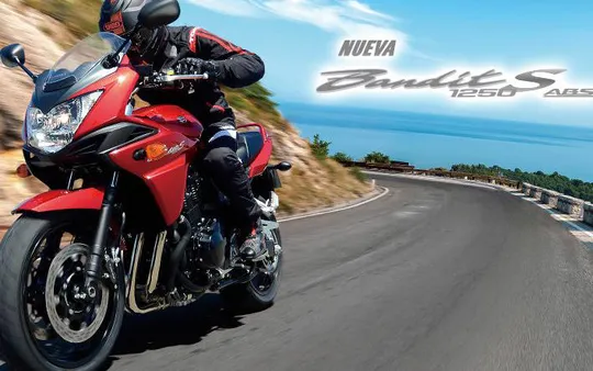 Imagen 1 de la galería