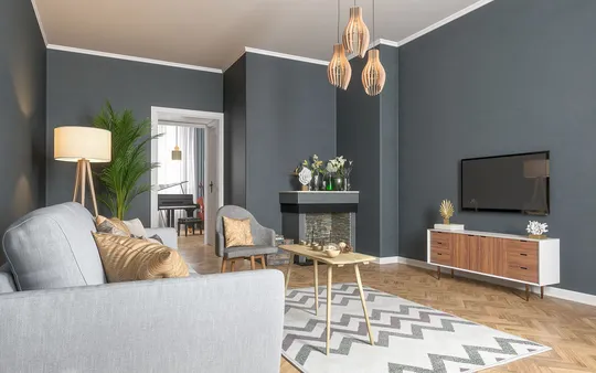 Imagen 7 de la galería