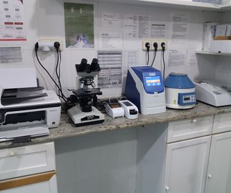Fibroendoscopio: Servicios de Clínica principal Veterinaria Puerto Mazarrón