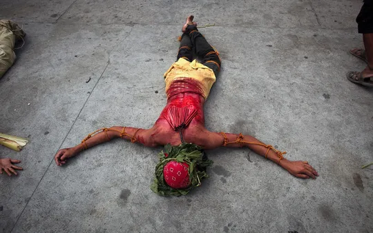 Imagen 6 de la galería