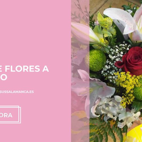 envío de flores Salamanca | Flores María Jesús