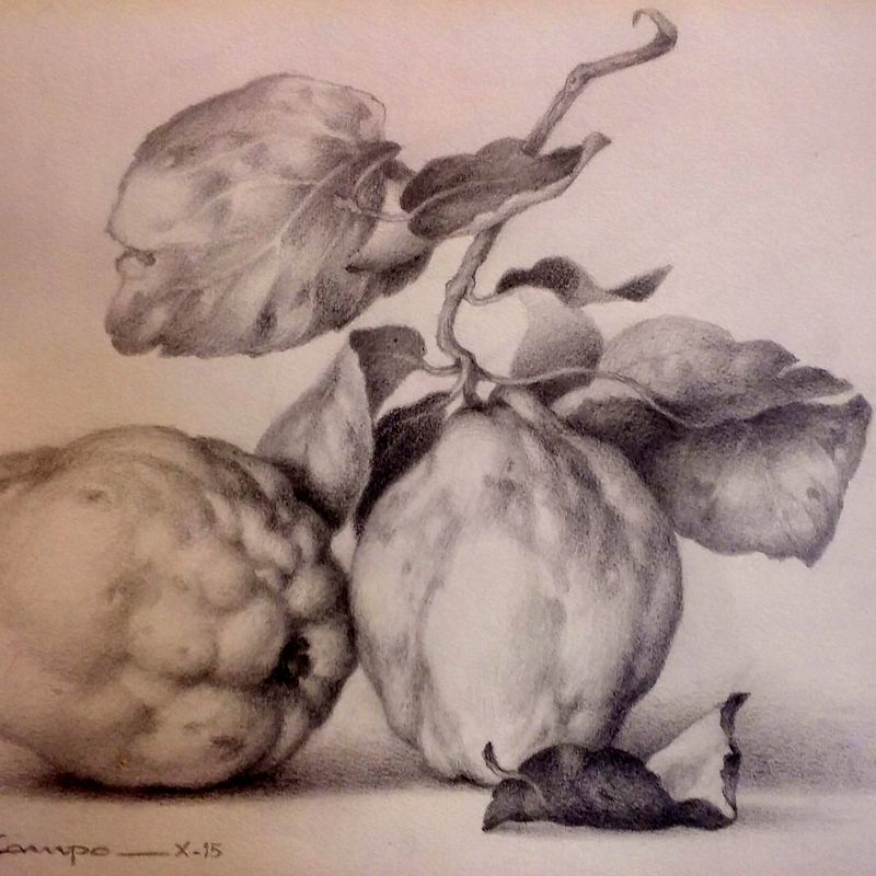 DIBUJOS ORIGINALES de Rosalía Campo: Productos de Cano 1907