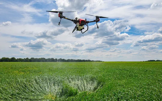 Imagen 3 de la galería