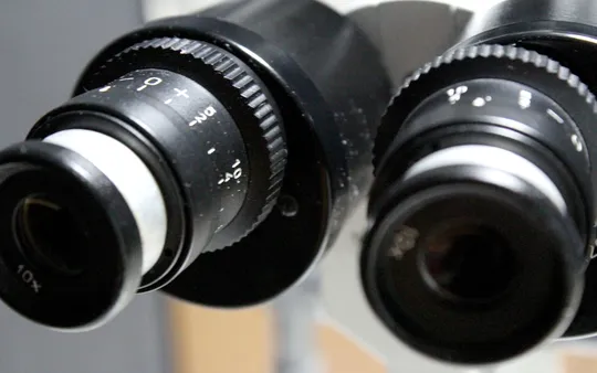 Imagen 2 de la galería