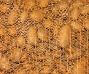Distribución de patatas en Euskadi y La Rioja
