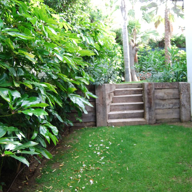 Muros y escaleras : Productos y servicios de Vivero Fantastic Gardens